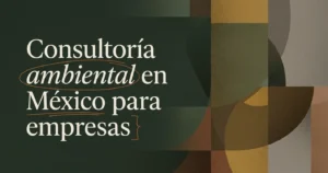 Consultoría Ambiental en México: Guía para Empresas
